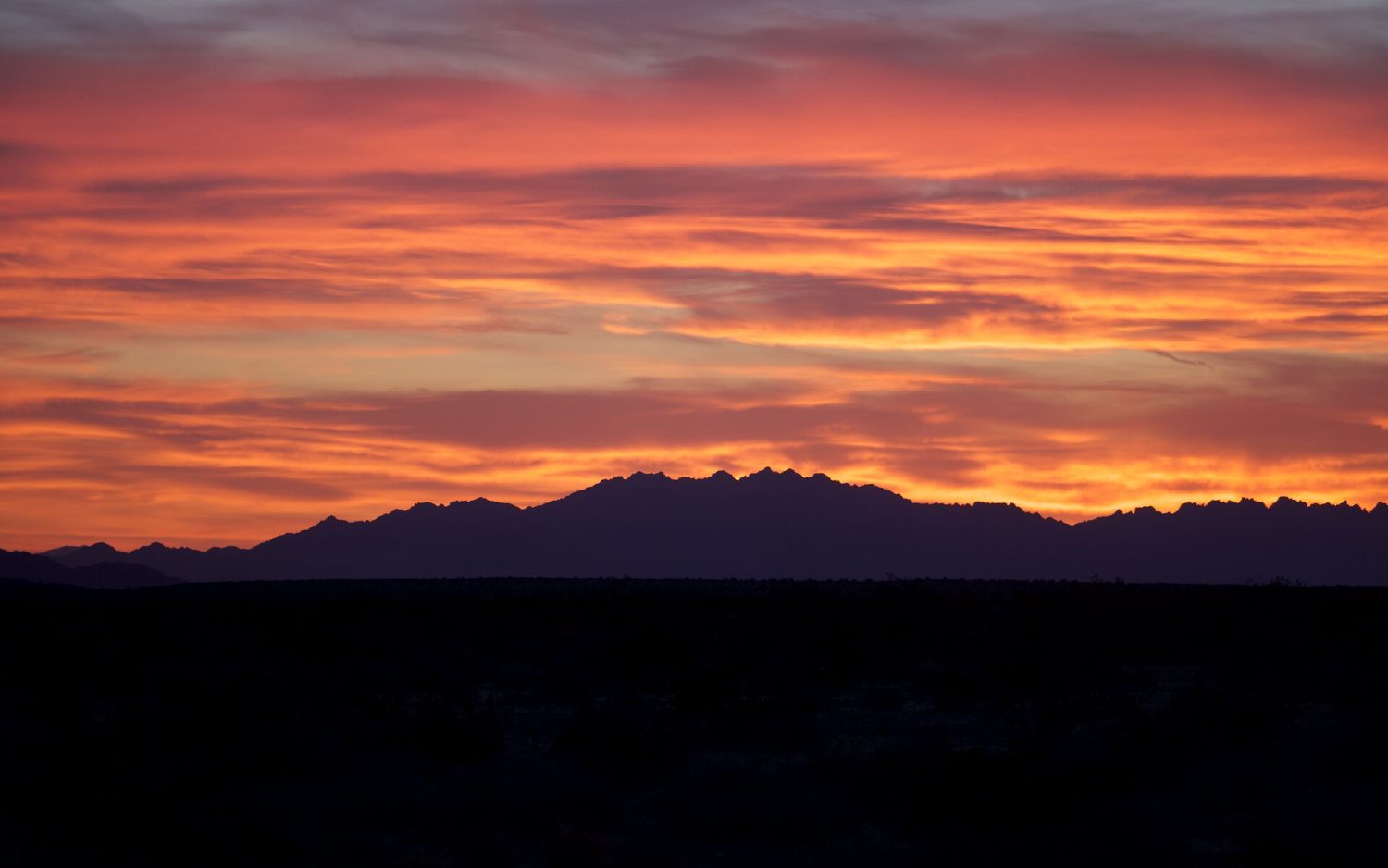 Golden sun rays fanning out through low clouds at sunrise over the Pinto Basin in Joshua Tree National Park