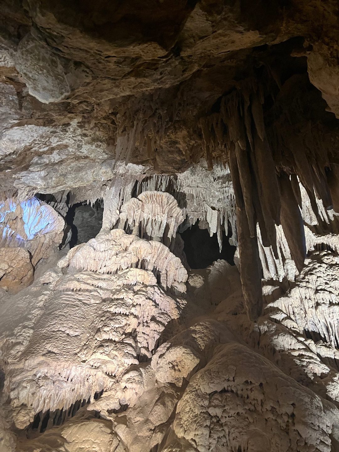 Wide view of a chamber inside Mitchell Caverns showing columns, stalactites and stalagmites lit by warm tour lights