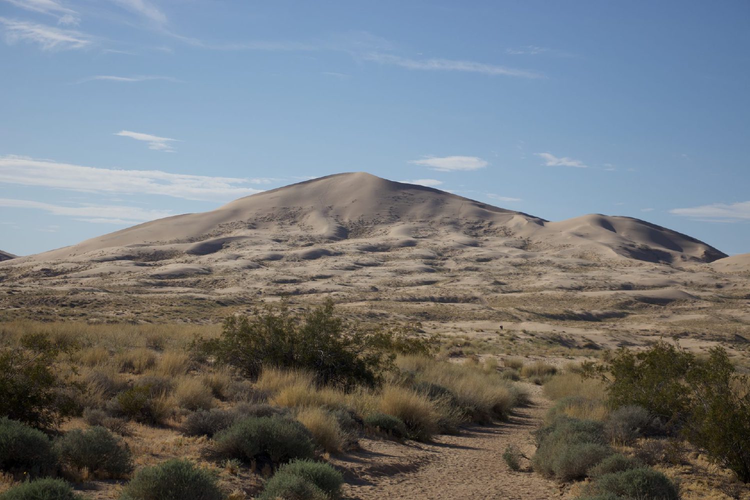 Kelso Sand Dunes, a massive stretch of golden sand rising sharply out of the Mojave desert floor