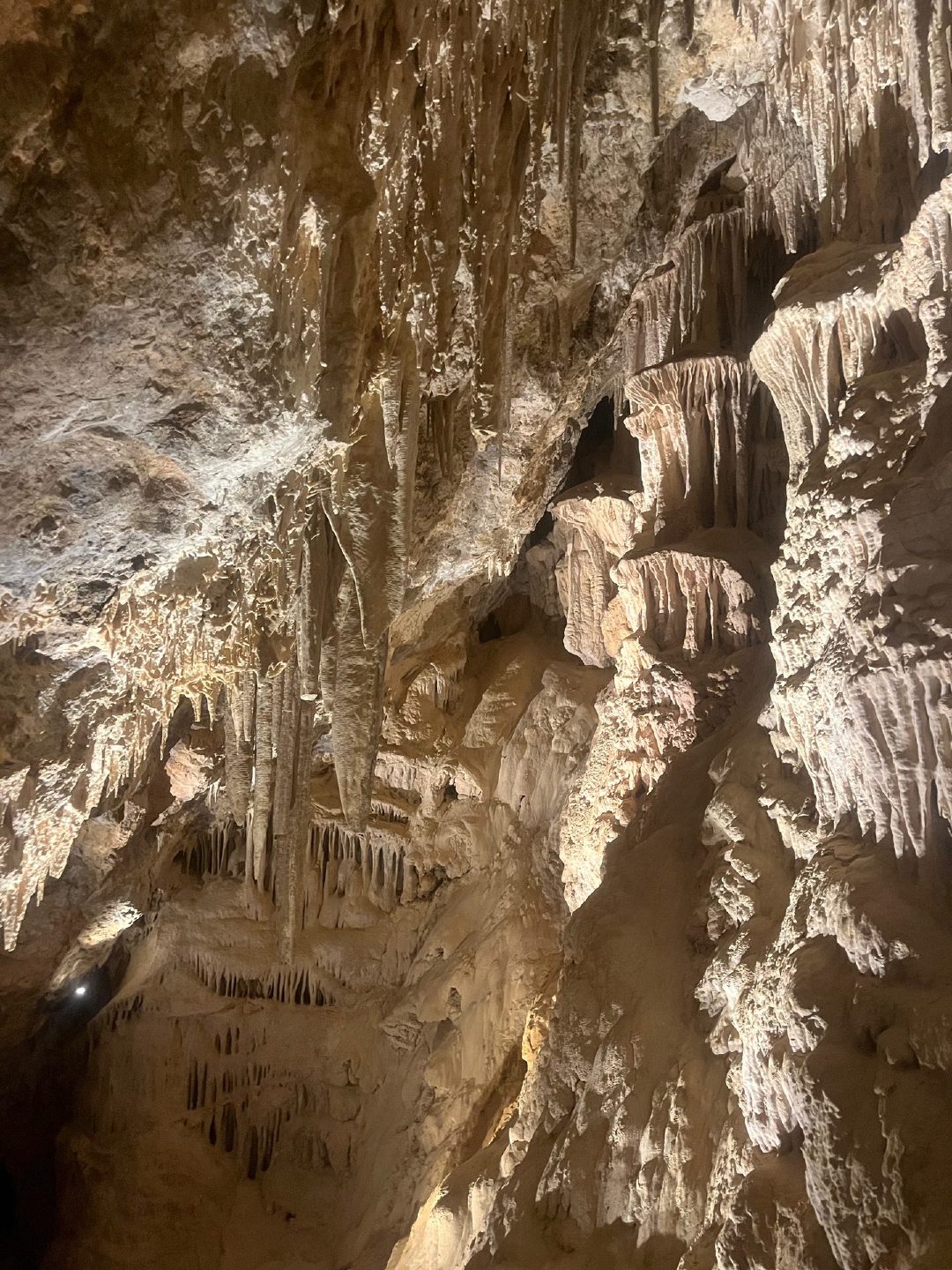 Close-up of honey-colored limestone stalactites hanging from the ceiling of Mitchell Caverns